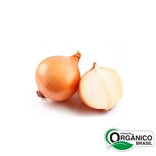 Cebola Petisco Organica Ds 500gr