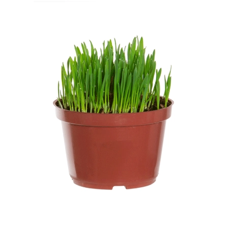 Vaso Big Plast Preto Ref.130