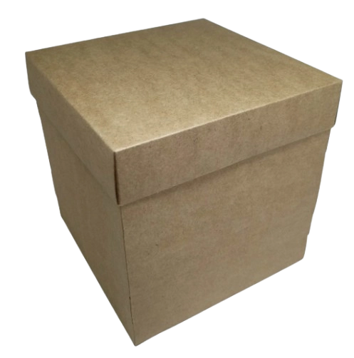 Caixa 22x22x18cm Kraft