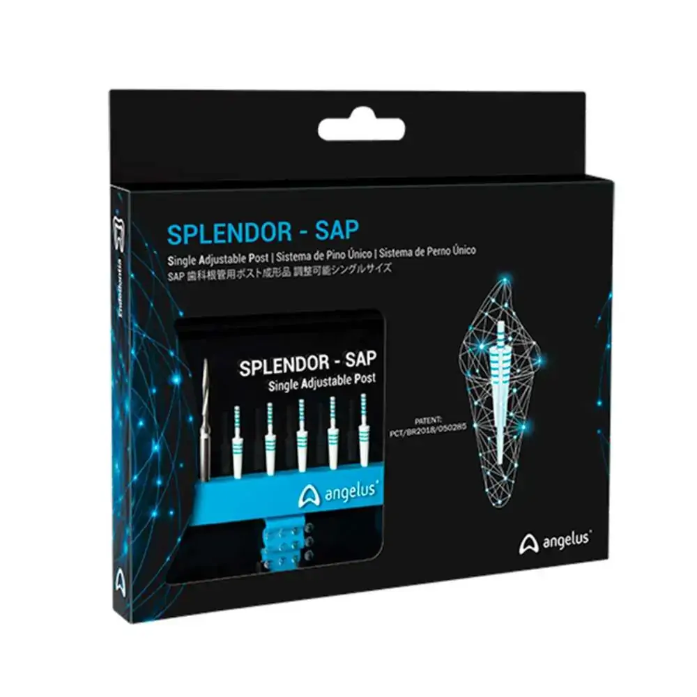 Pino Splendor (SAP) - Angelus - 26.7571