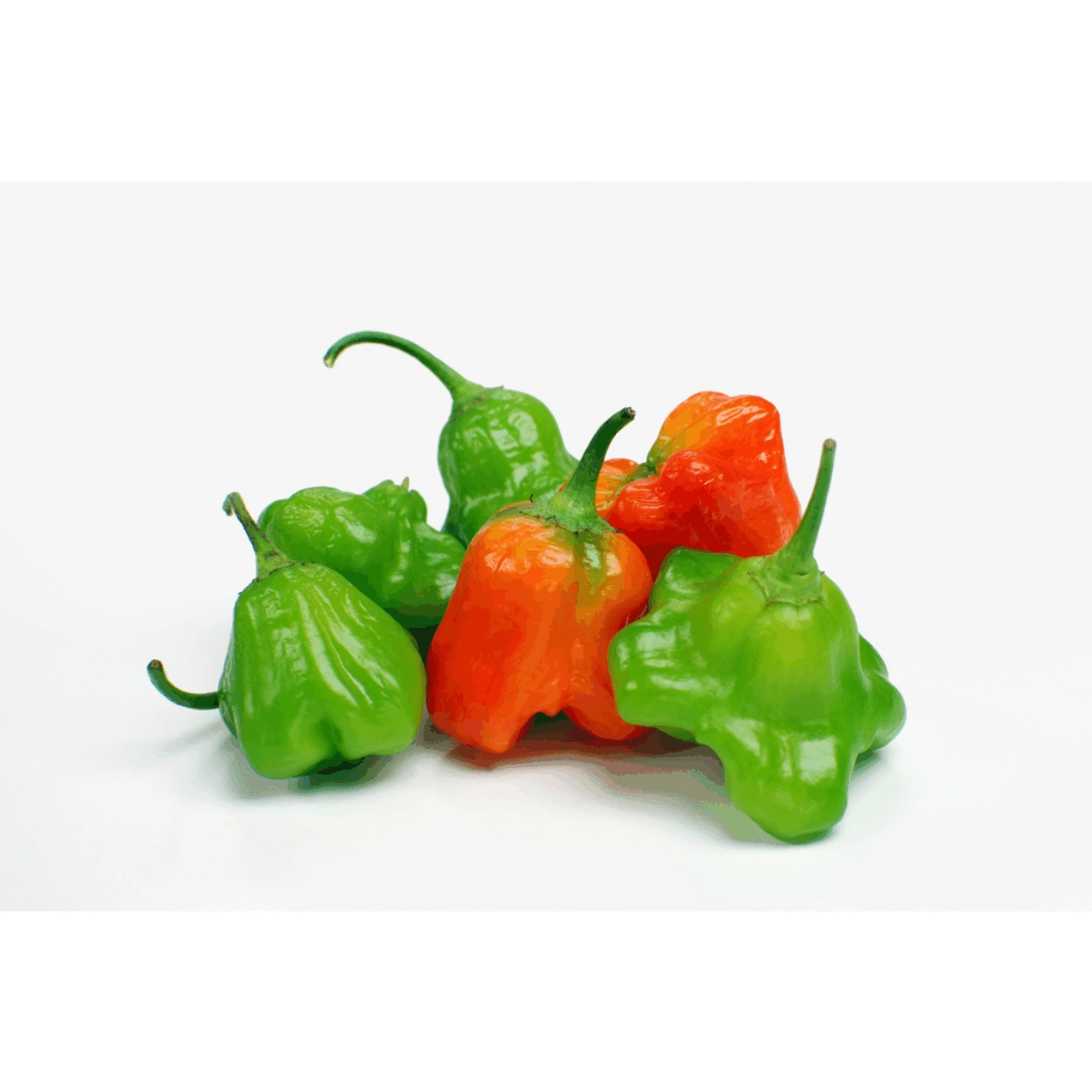 Pimenta Cambuci Takagaki Higiênico.