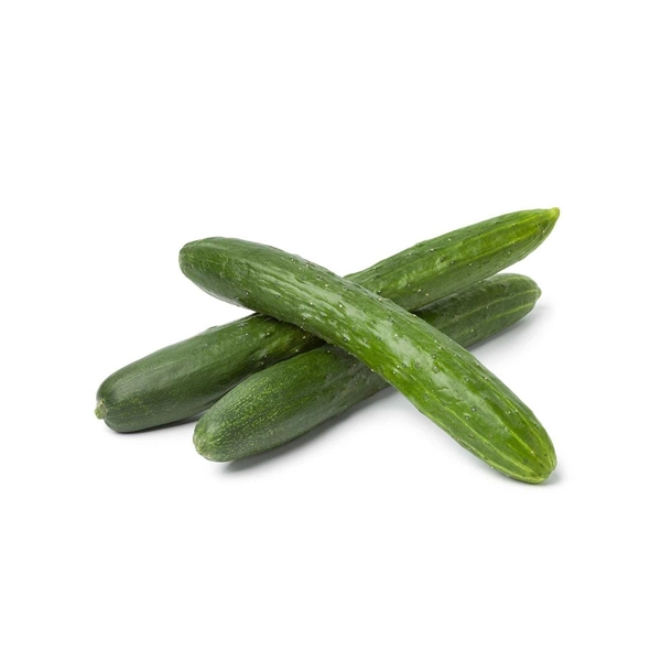 Pepino Japones Takagaki