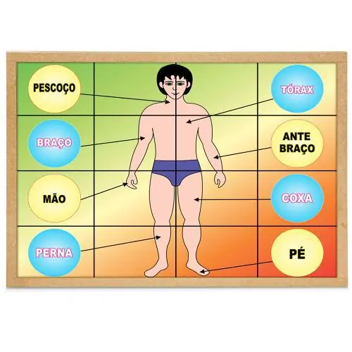 Jogo Quebra Cabeça Corpo Humano Com 16 Peças 1 Base 1190 Carlu