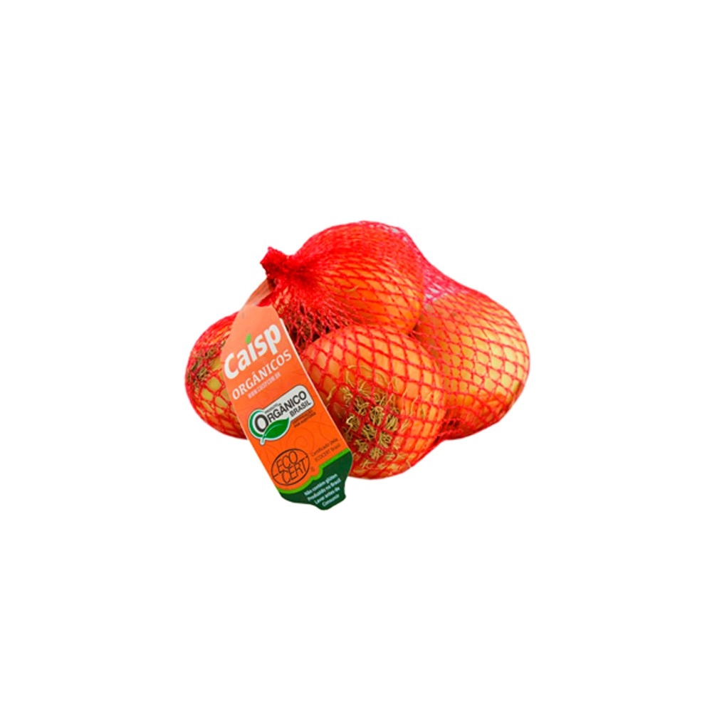 Cebola Organica