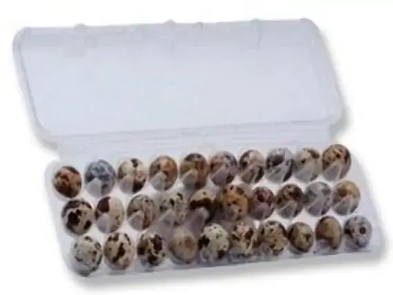 Ovos De Codorna Caramuru C/30