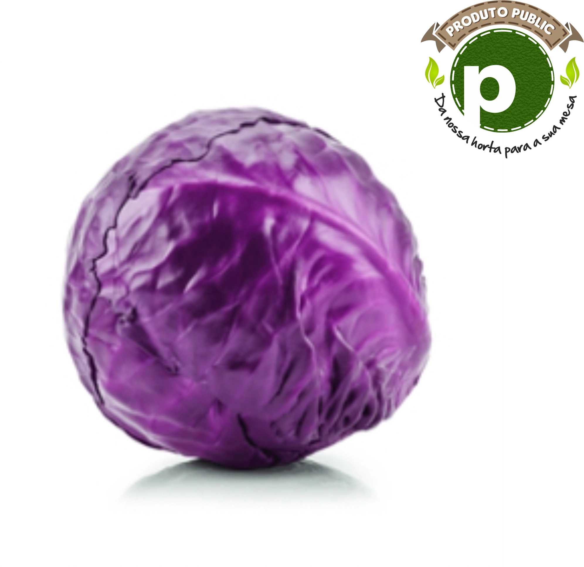 Repolho E Repolho Roxo Matsusako