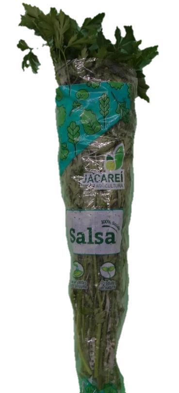 Salsa/cebola Unidade