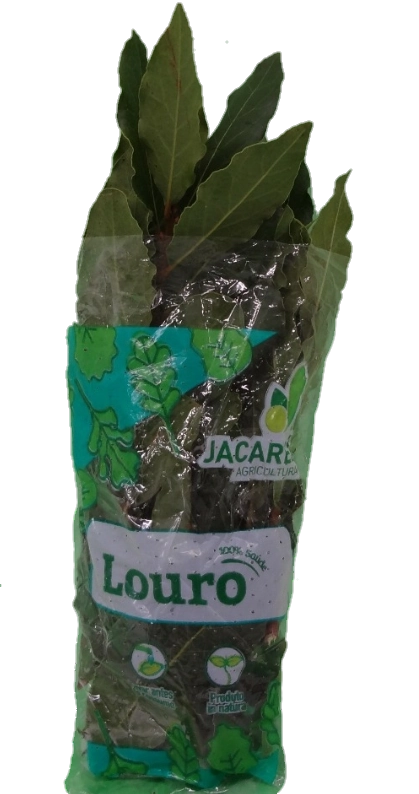 Louro Maco