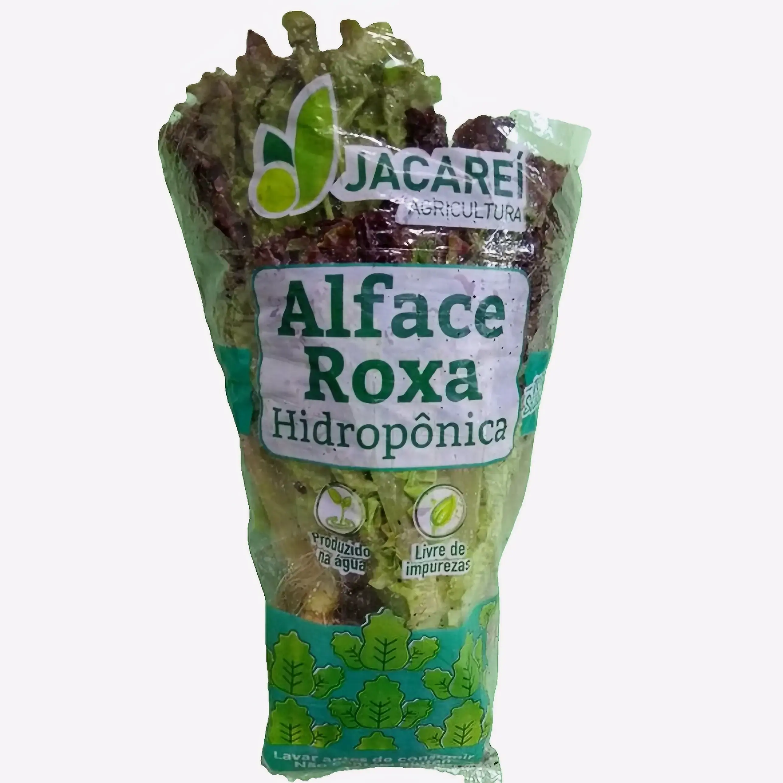 Verdura Alface Crespa Roxa Hidroponica Pl Pe Jacarei