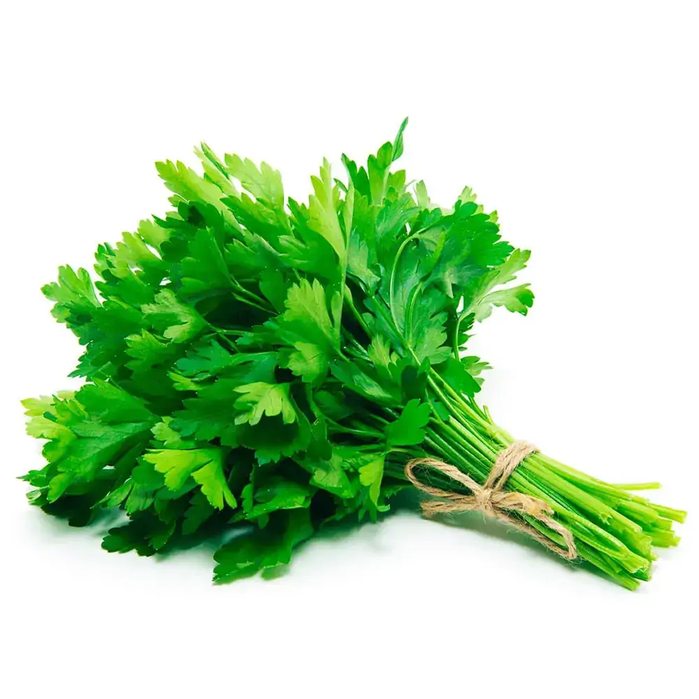 Salsinha Verde Facil 50g