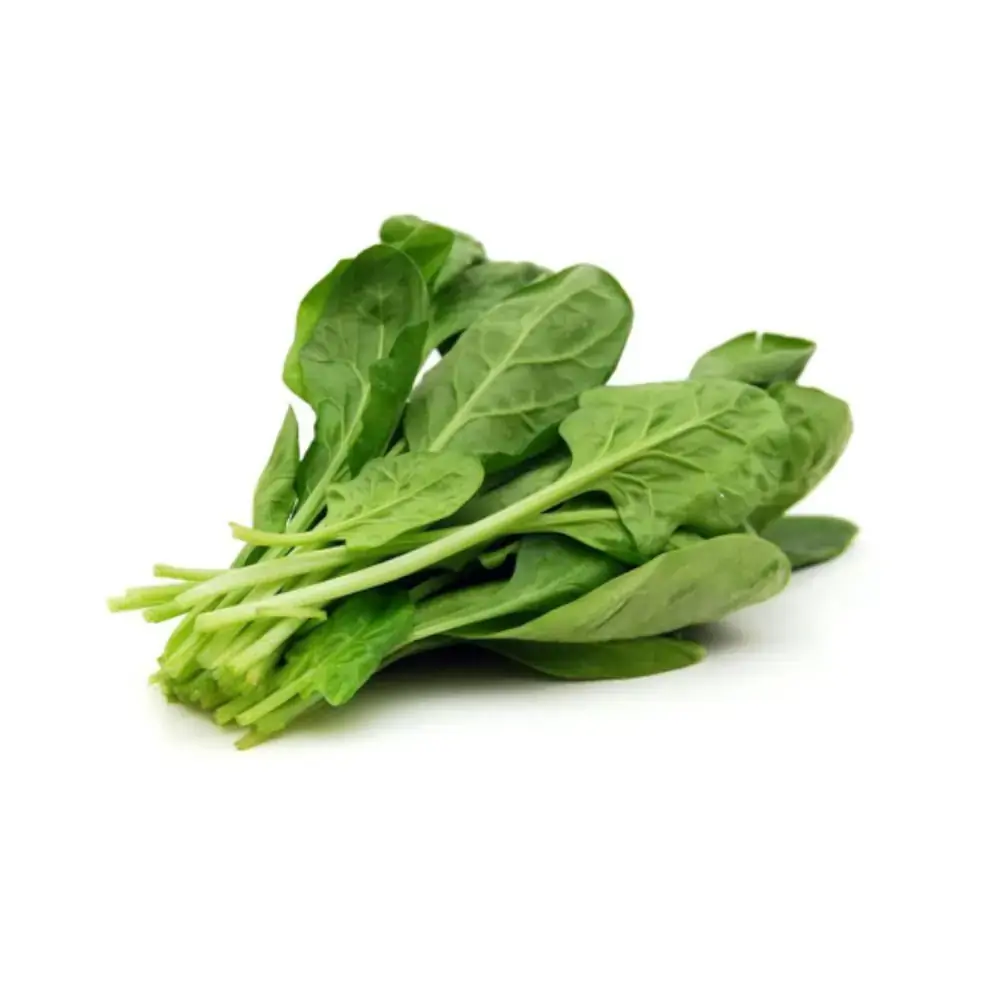 Rucula Verde Facil