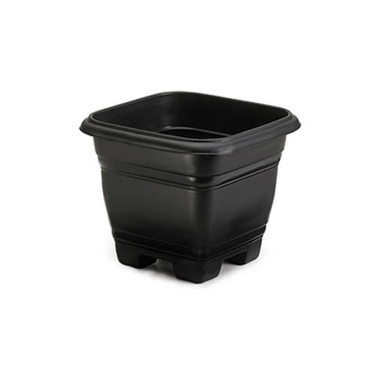 Vaso Quadrado Rischioto 17cm