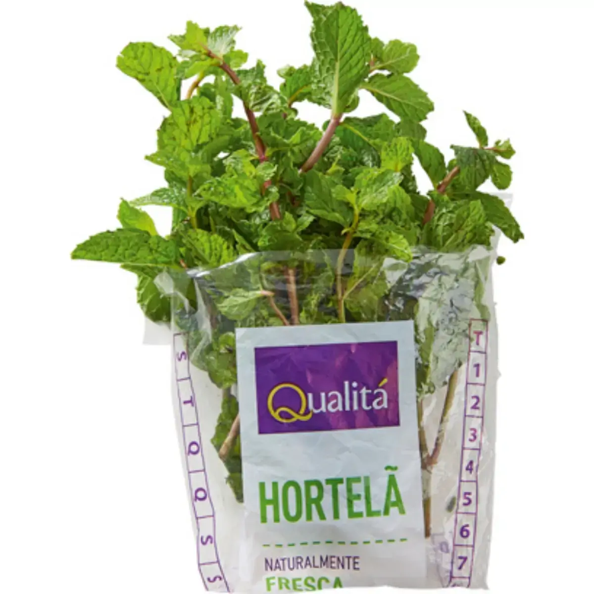Hortela Higienizado 25gr