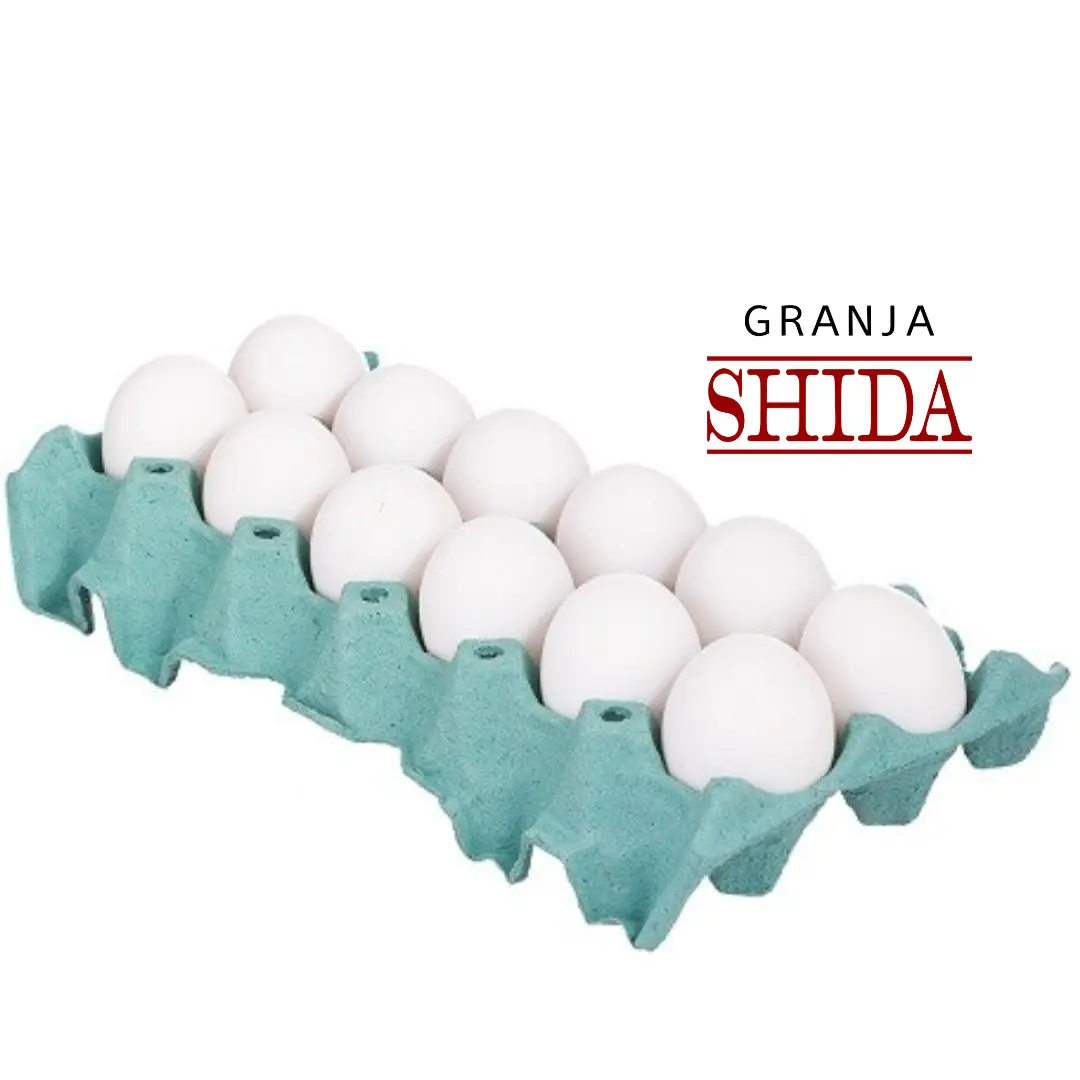 Ovos Gj Shida T Ext