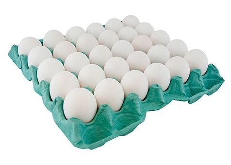 Ovos Branco Pvc Shida Grande C/30