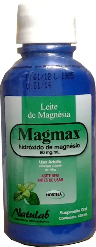 Magmax Leite De Magnesia Hort