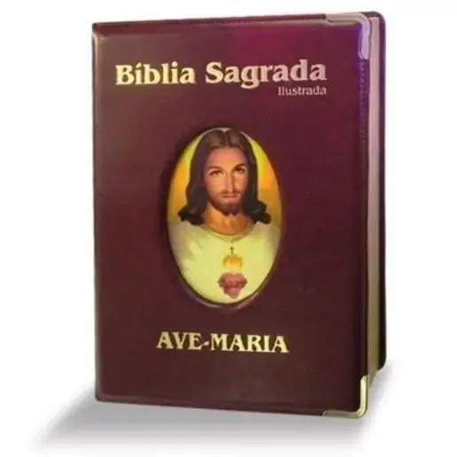 Biblia Sagrada Grande Ilustrada Luxo 2140g Ave Maria