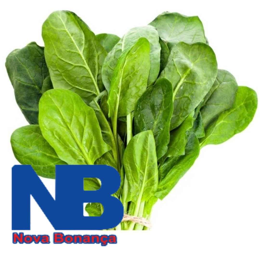 Espinafre Nova Bonança 300g