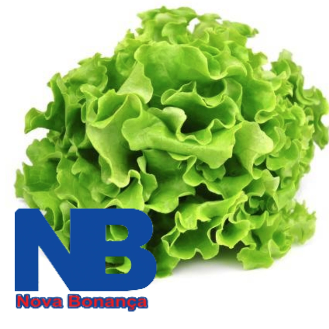 Alface Mimosa Nova Bonança 180g