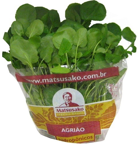 Agriao Hidroponico
