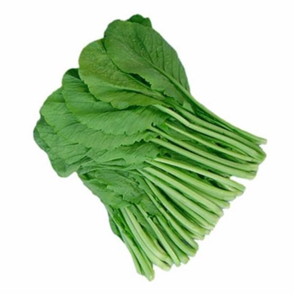 Mostarda Linha Verde Un