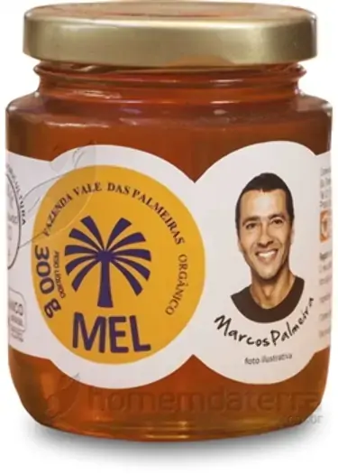 Mel Orgânico Fazenda Vale Das Palmeiras 300g