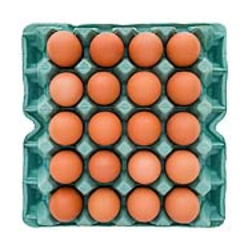 Ovos Katayama Vermelho Pvc C/20u Gd