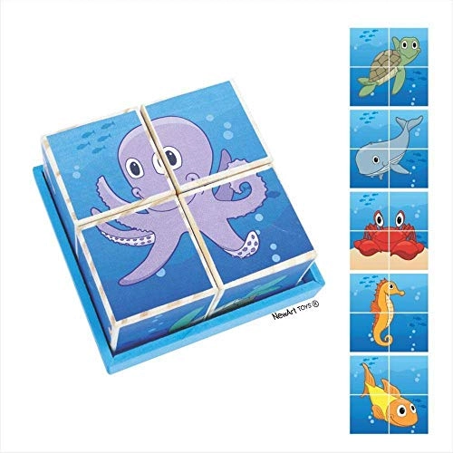 Cubos Quebra Cabeca Agua Newart
