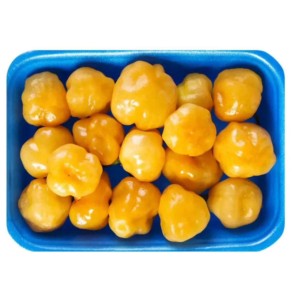 Pimenta De Cheiro Benassi Bdj