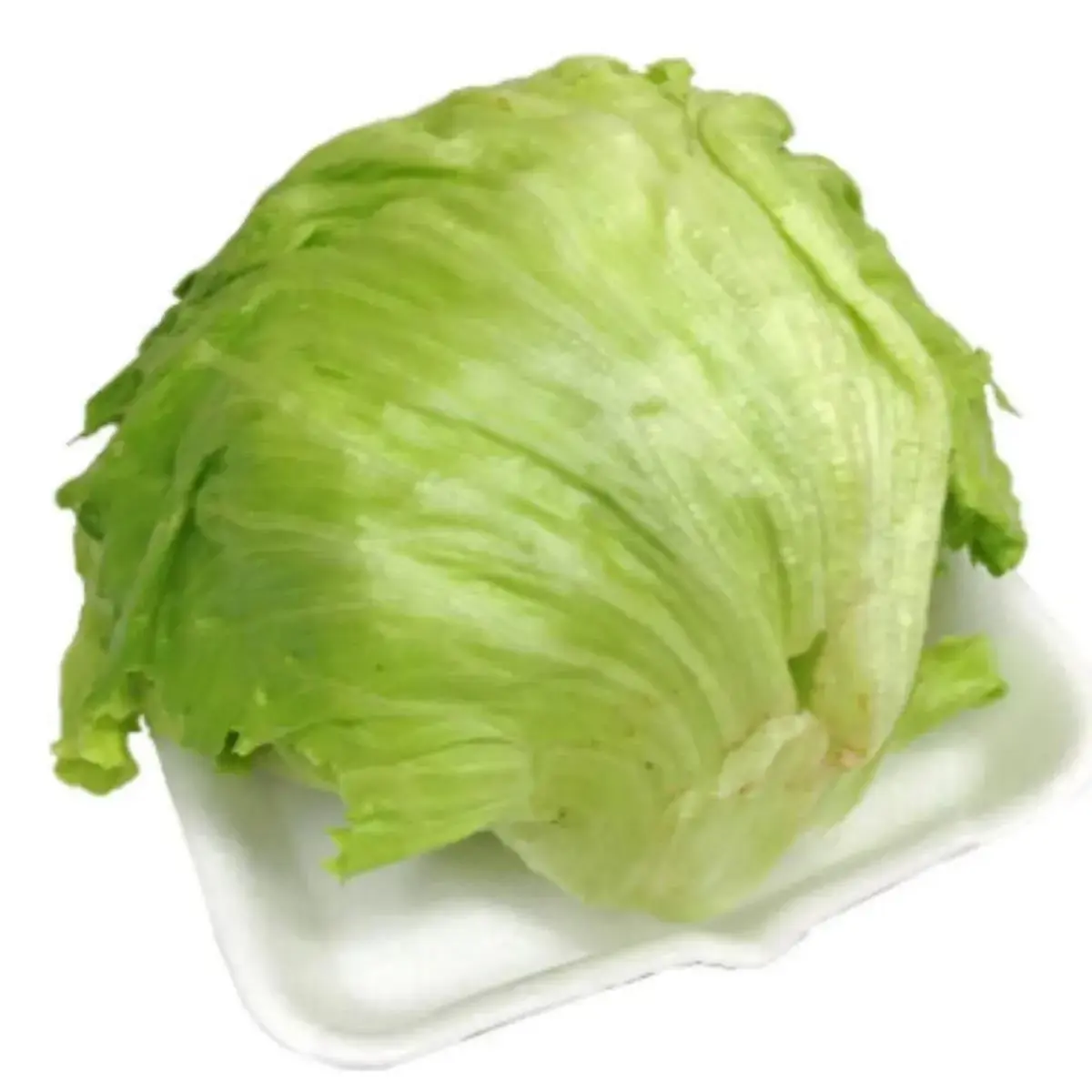Alface Americana MIL GREEN 200g