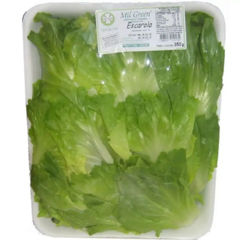 Escarola Mil Green