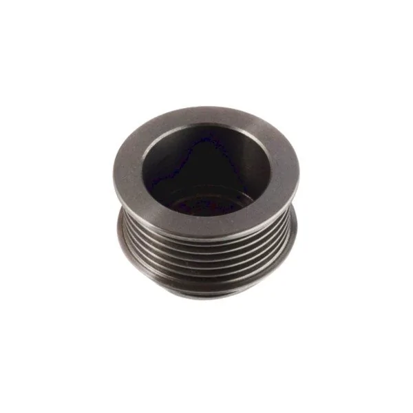 Polia do Alternador RENAULT MEGANE/SCENIC - TRIADE T238