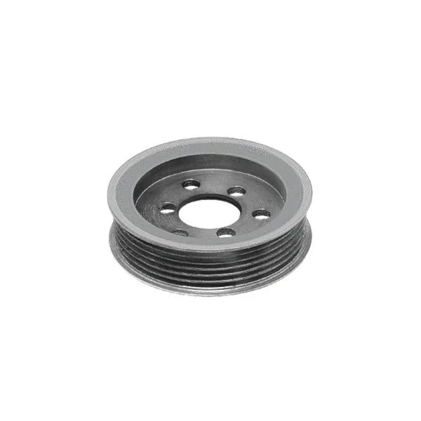 Polia da Bomba de Direção Hidráulica VOLKSWAGEN AMAROK - TRIADE T422