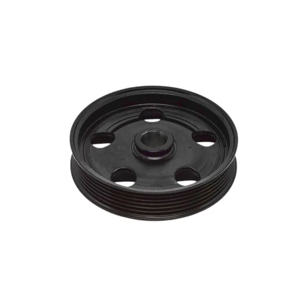 Polia da Bomba de Direção Hidráulica FORD FOCUS - TRIADE T900