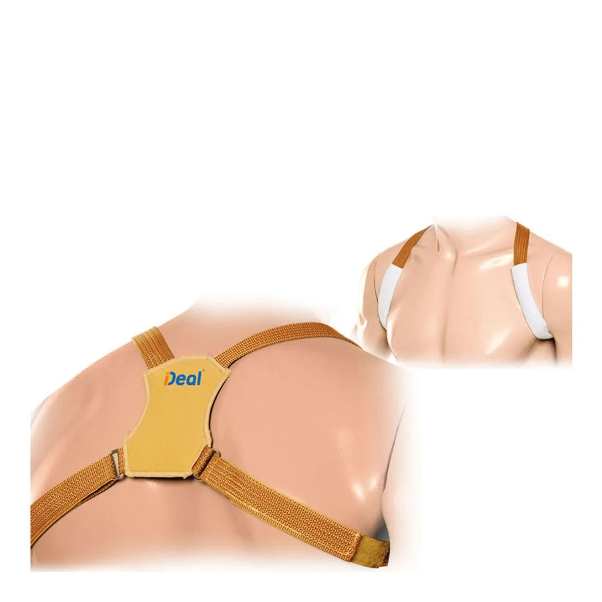 Corretor Postural Ideal Tam: Pequeno