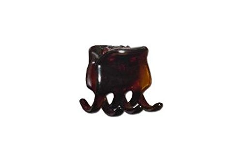 Finestra R.n243 Piriranha Tridente Tart