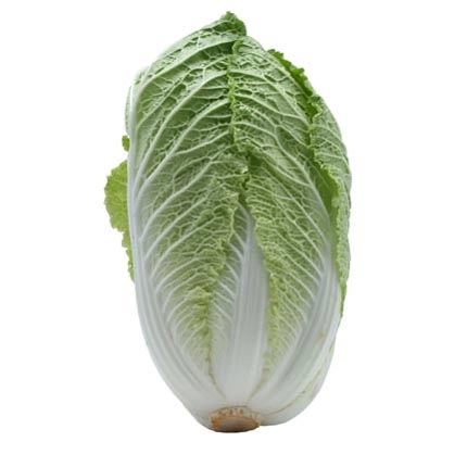 Acelga Hortella Und