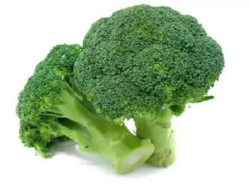Brocolis Hortella Ninja Und