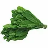 Catalonha Hortella Und