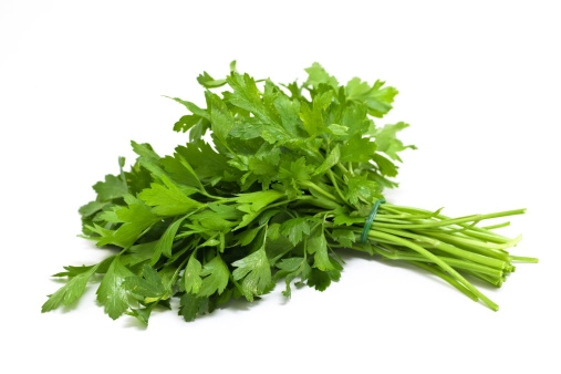Salsinha Hortella Und