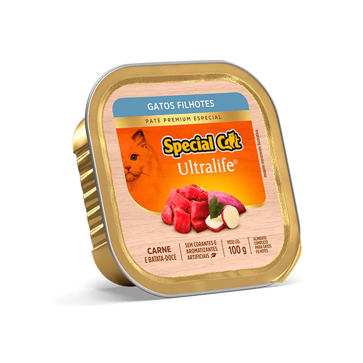 10 Al.gatos Pate Special Cat 100gr Fil.carn