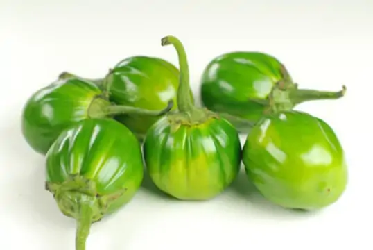 Jilo Senaga 300gr