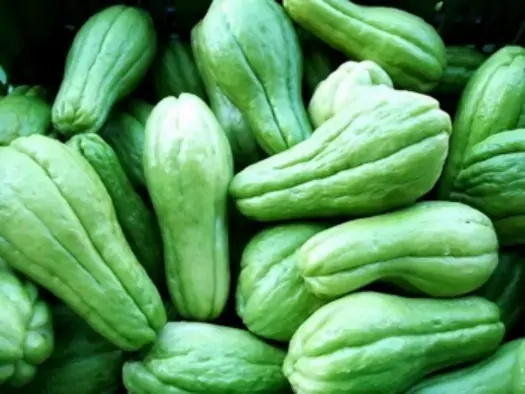Chuchu Senaga 400gr