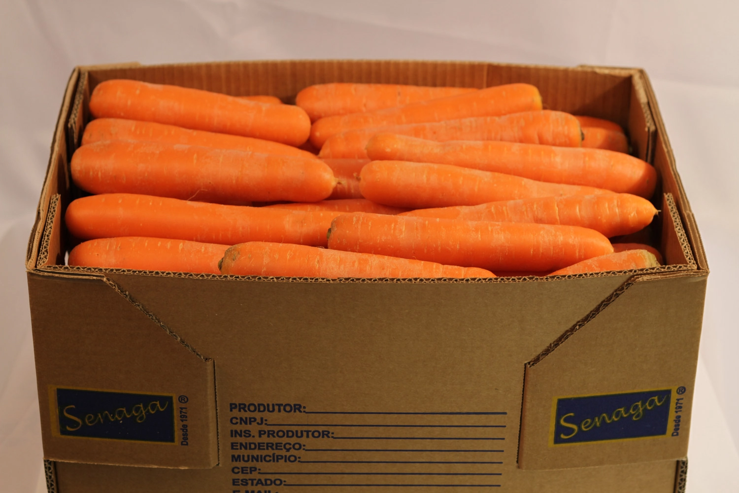 Cenoura Senaga 500gr