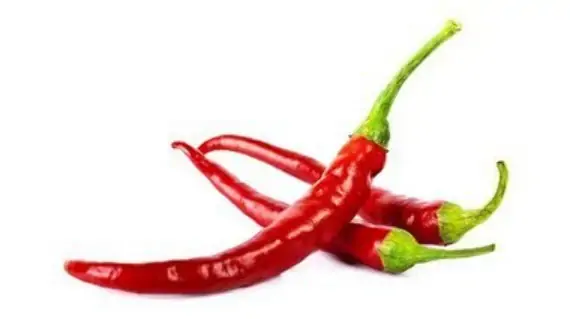 Pimenta Ardida Senaga 200gr