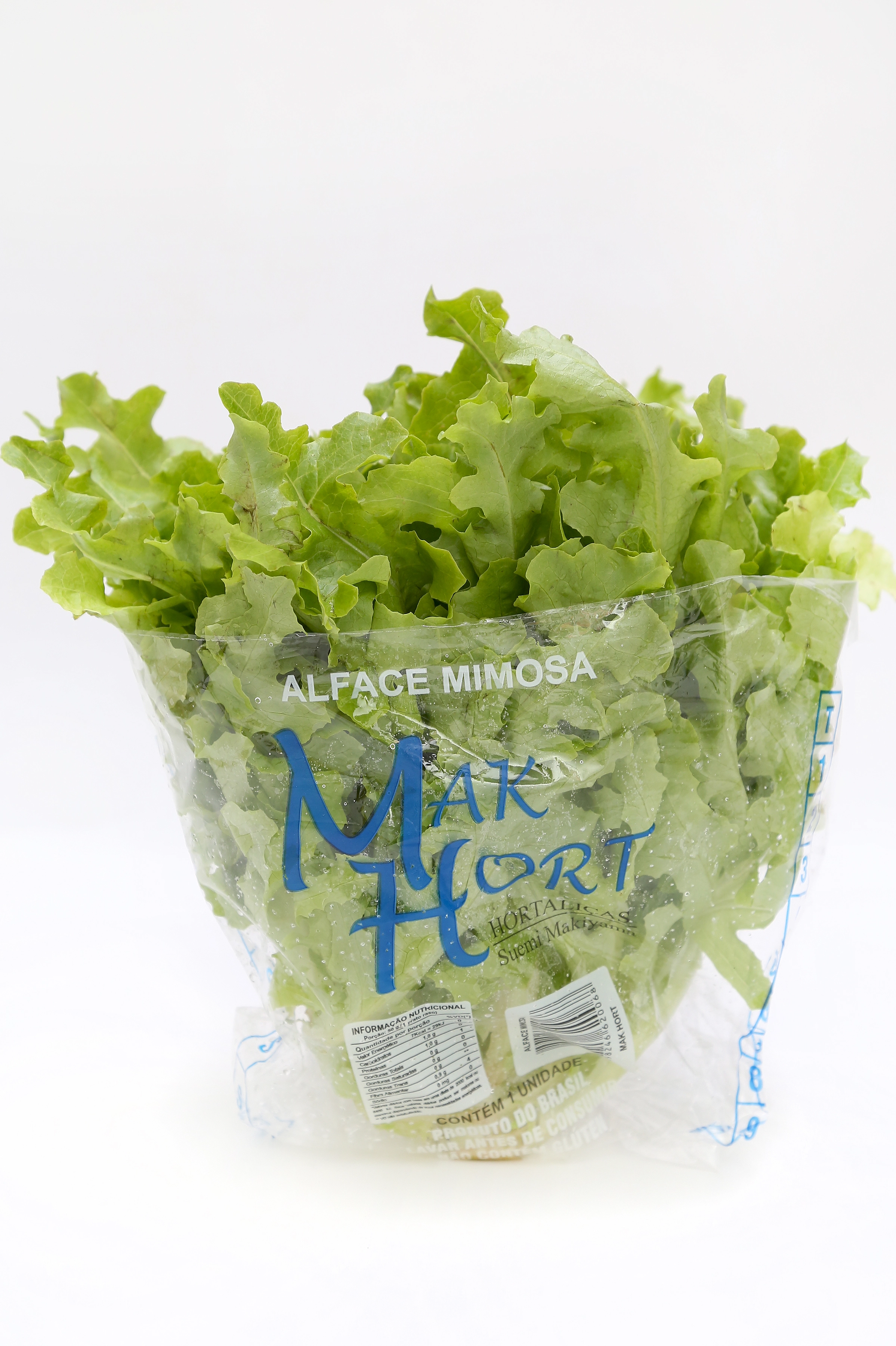 Alface Mimosa Hort Maxi