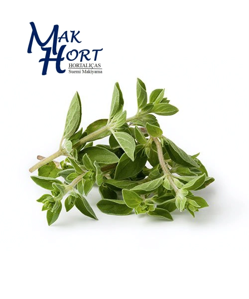 Oregano Unidade