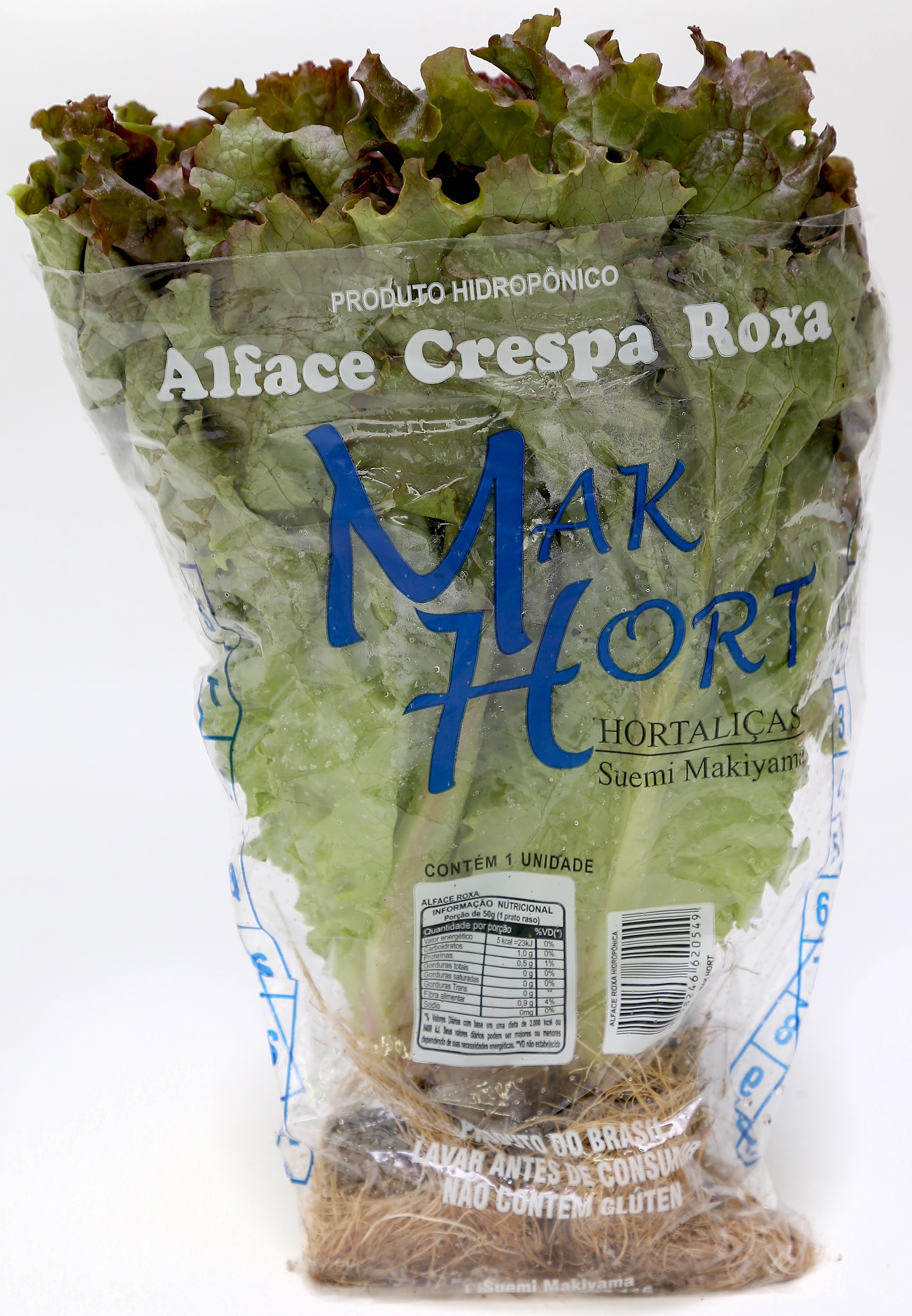 Alface Crespa Roxa Hidroponica Hort Maxi