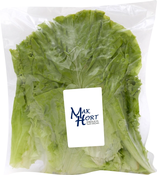 Salada Mista 1 Crespa/lisa 200g Hort Maxi