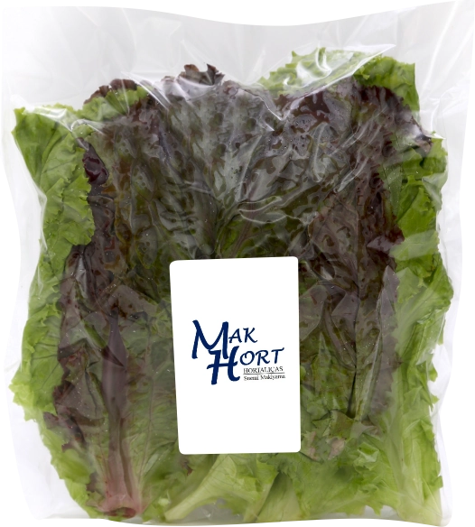 Salada Mista 2 Crespa/roxa 200g Hort Maxi